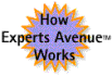 How Experts Avenue Works. What Is E-Consulting?